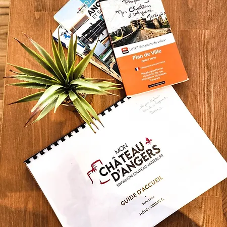 Διαμέρισμα Le Chateau Ανζέρ